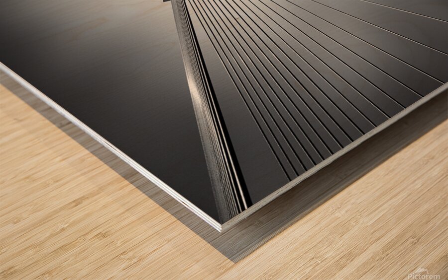 Erasmusbrug Wood print