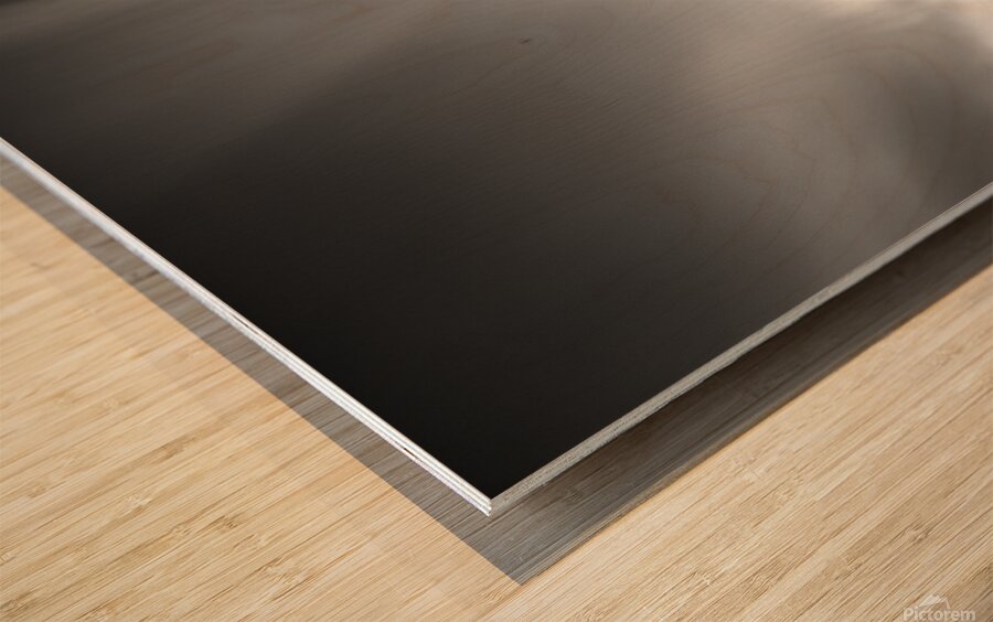 Buachaille Etive Mor I Wood print