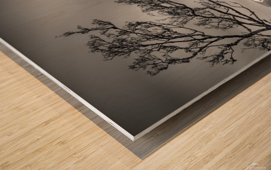 Kilchurn Castle Wood print